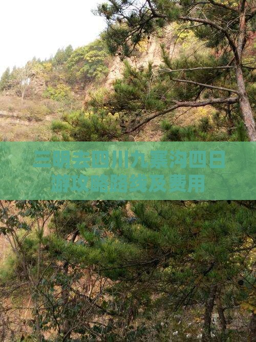 三明去四川九寨沟四日游攻略路线及费用
