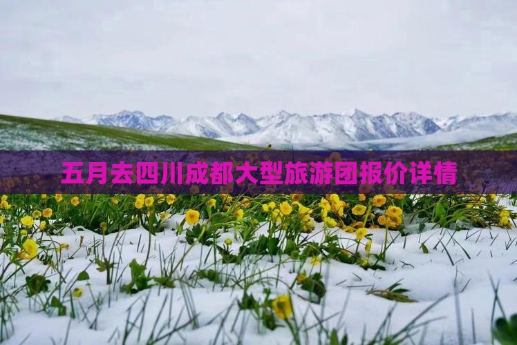 五月去四川成都大型旅游团报价详情