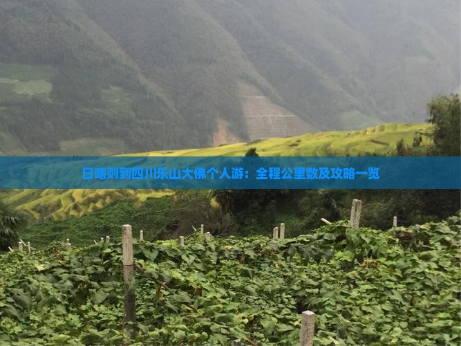 日喀则到四川乐山大佛个人游：全程公里数及攻略一览