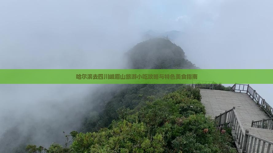 哈尔滨去四川峨眉山旅游小吃攻略与特色美食指南
