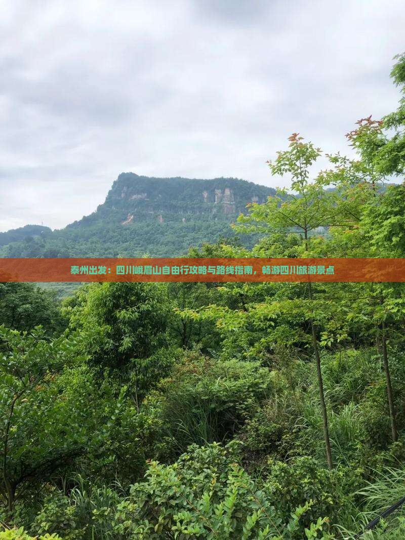 泰州出发：四川峨眉山自由行攻略与路线指南，畅游四川旅游景点