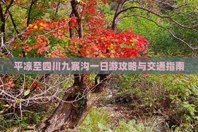 平凉至四川九寨沟一日游攻略与交通指南