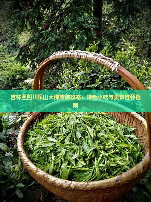 吉林至四川乐山大佛旅游攻略：特色小吃与美食推荐指南