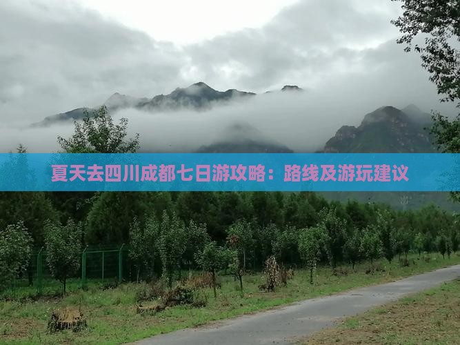 夏天去四川成都七日游攻略：路线及游玩建议