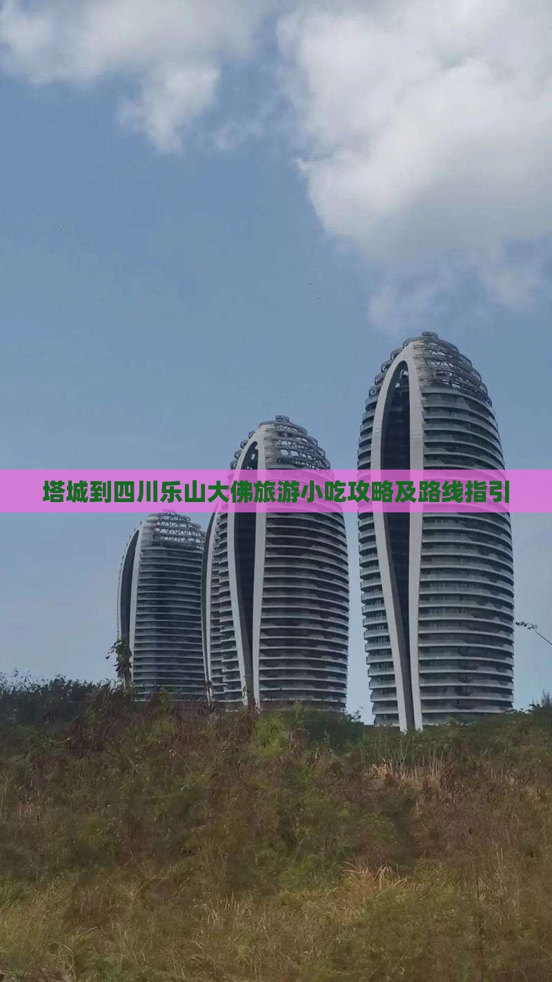 塔城到四川乐山大佛旅游小吃攻略及路线指引
