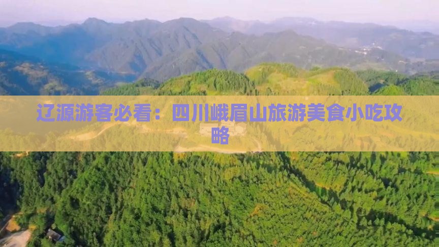 辽源游客必看：四川峨眉山旅游美食小吃攻略
