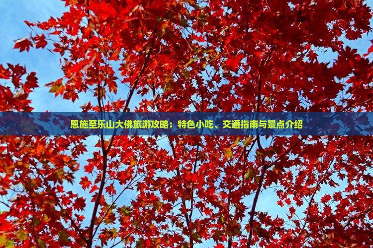 恩施至乐山大佛旅游攻略：特色小吃、交通指南与景点介绍