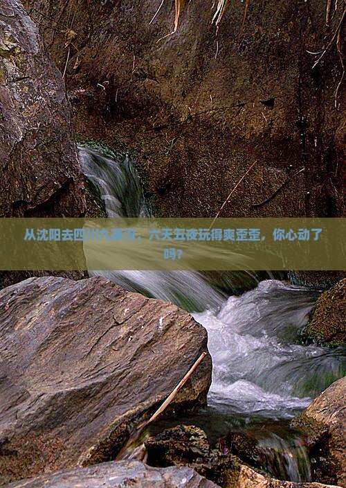沈阳到四川九寨沟六日游