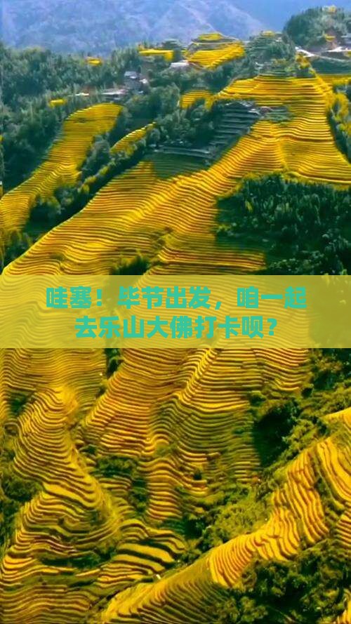 毕节到四川乐山大佛团体旅游 毕节到四川乐山大佛团体旅游
