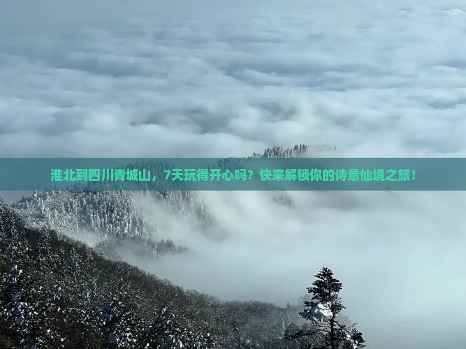 淮北去四川青城山七日游