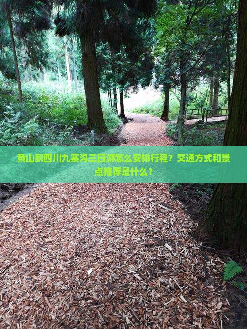 黄山到四川九寨沟三日游 黄山到四川九寨沟三日游