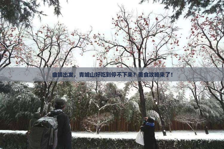 曲靖到四川青城山旅游小吃