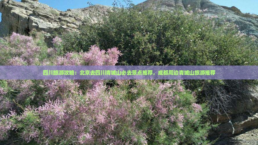 北京去四川青城山必去地