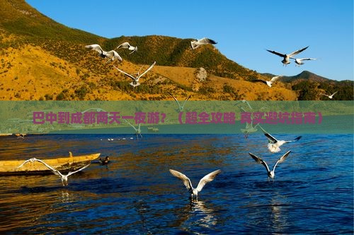 巴中到四川成都二日游 巴中到四川成都二日游