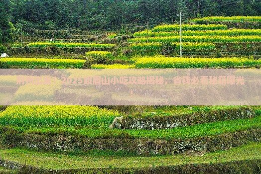 荆州去四川峨眉山旅游小吃