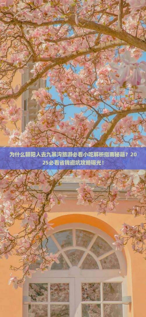 朝阳到四川九寨沟旅游小吃