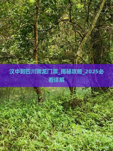 汉中到四川黄龙门票