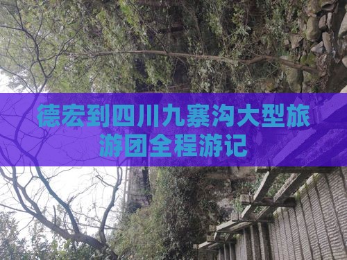 德宏到四川九寨沟大型旅游团