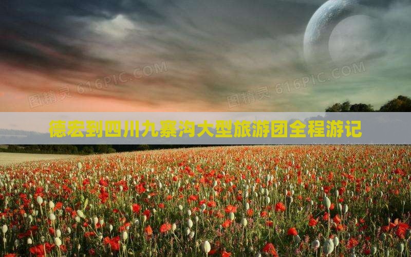 德宏到四川九寨沟大型旅游团