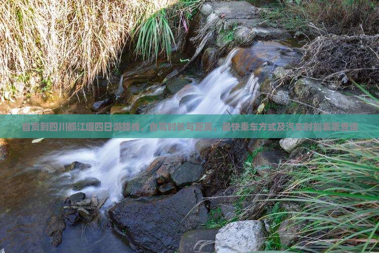 自贡到四川都江堰四日游