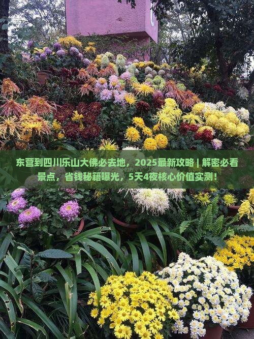 东营到四川乐山大佛必去地