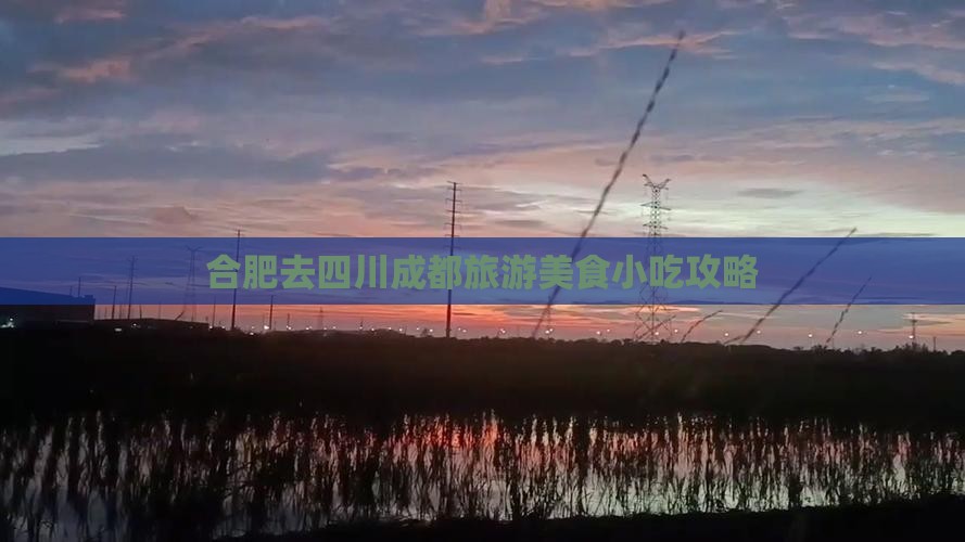 合肥去四川成都旅游小吃