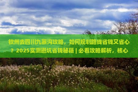 钦州去四川九寨沟攻略