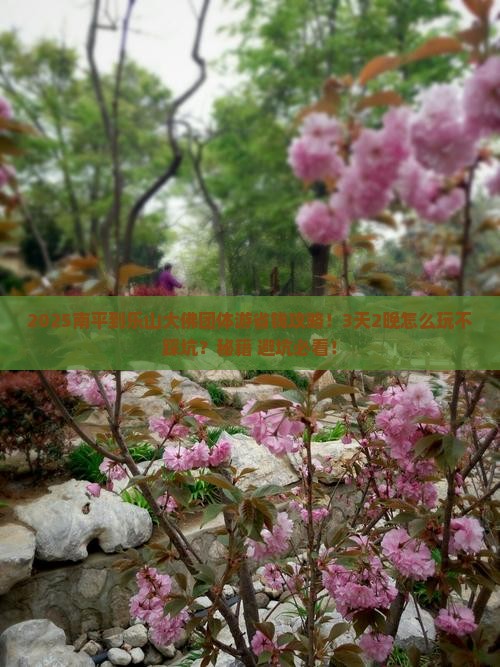 南平到四川乐山大佛团体旅游 南平到四川乐山大佛团体旅游