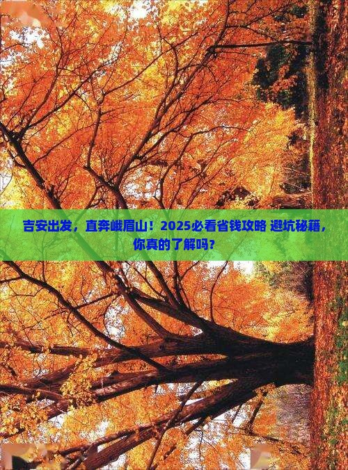 吉安到四川峨眉山大型旅游团