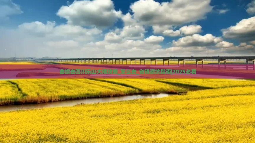 曲靖去四川乐山大佛攻略