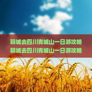 聊城去四川青城山一日