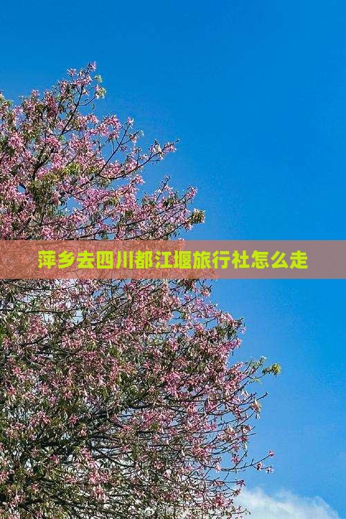 萍乡去四川都江堰旅行社
