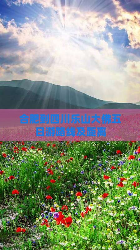 合肥到四川乐山大佛五日游