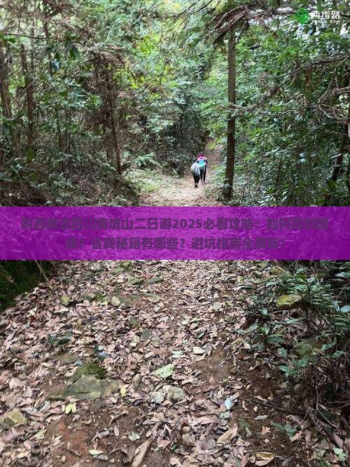 黔西南去四川青城山二日游 黔西南去四川青城山二日游