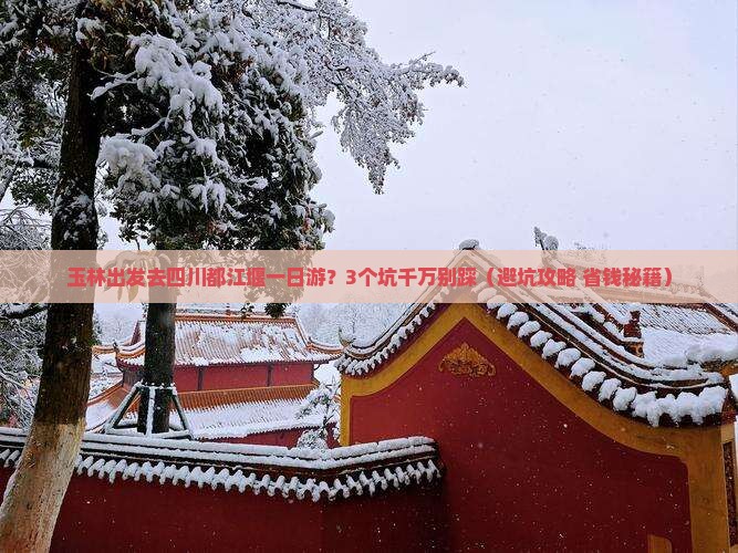 玉林到四川都江堰一日
