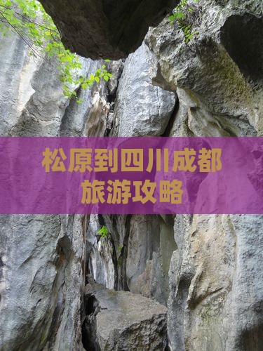 松原到四川成都门票