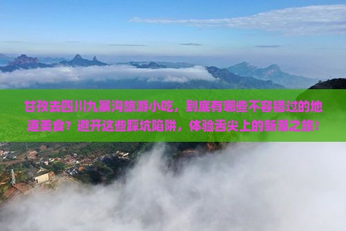 甘孜去四川九寨沟旅游小吃