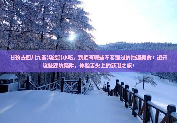 甘孜去四川九寨沟旅游小吃