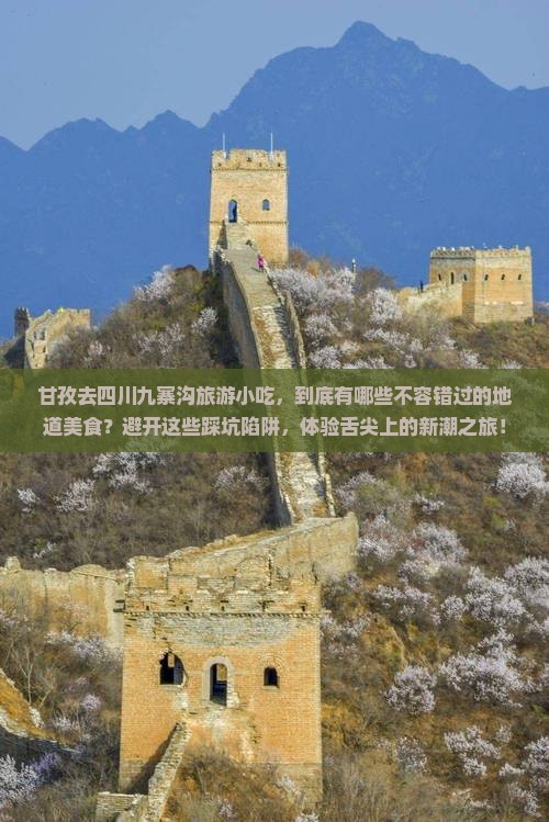 甘孜去四川九寨沟旅游小吃