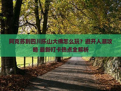 阿克苏到四川乐山大佛旅游