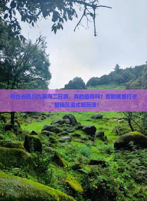 邢台去四川九寨沟二日游