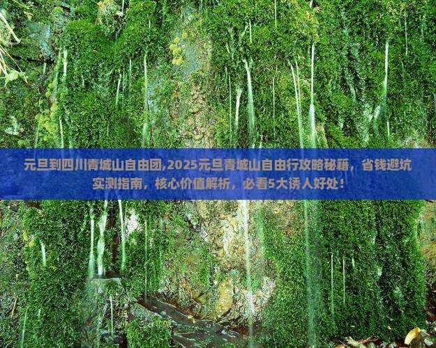 元旦到四川青城山自由团