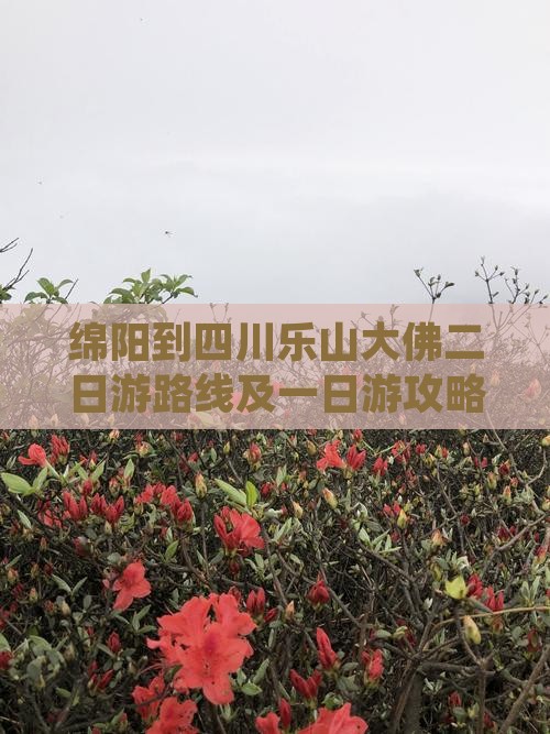 绵阳到四川乐山大佛二日游