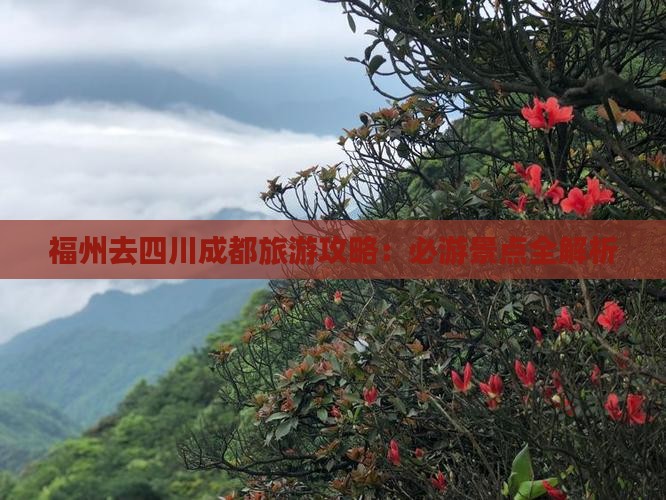 福州去四川成都攻略