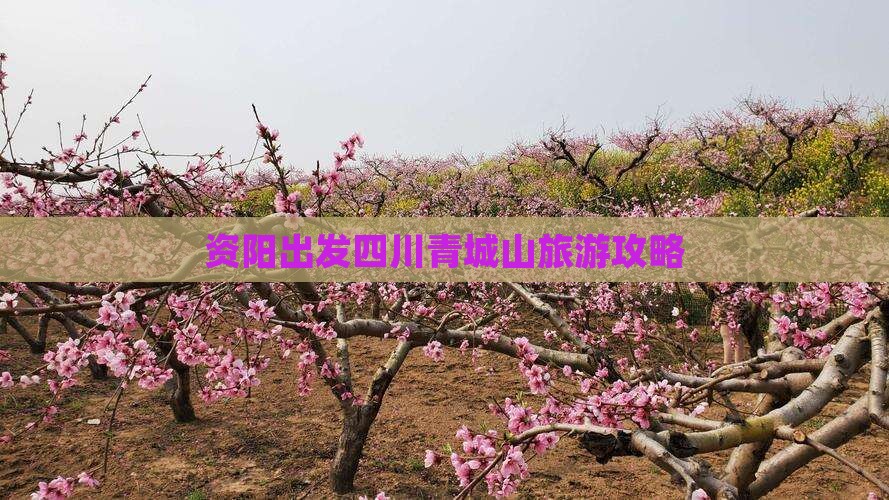 资阳去四川青城山个人游