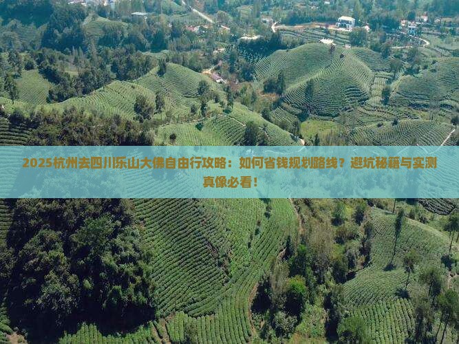 杭州去四川乐山大佛自由行