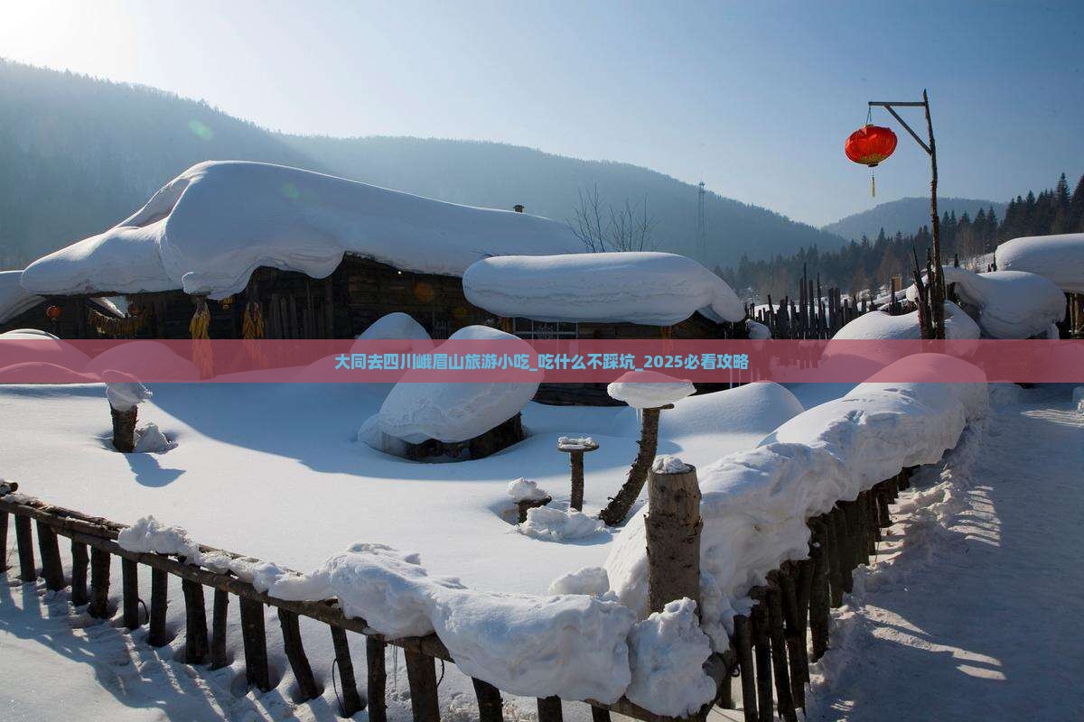 大同去四川峨眉山旅游小吃