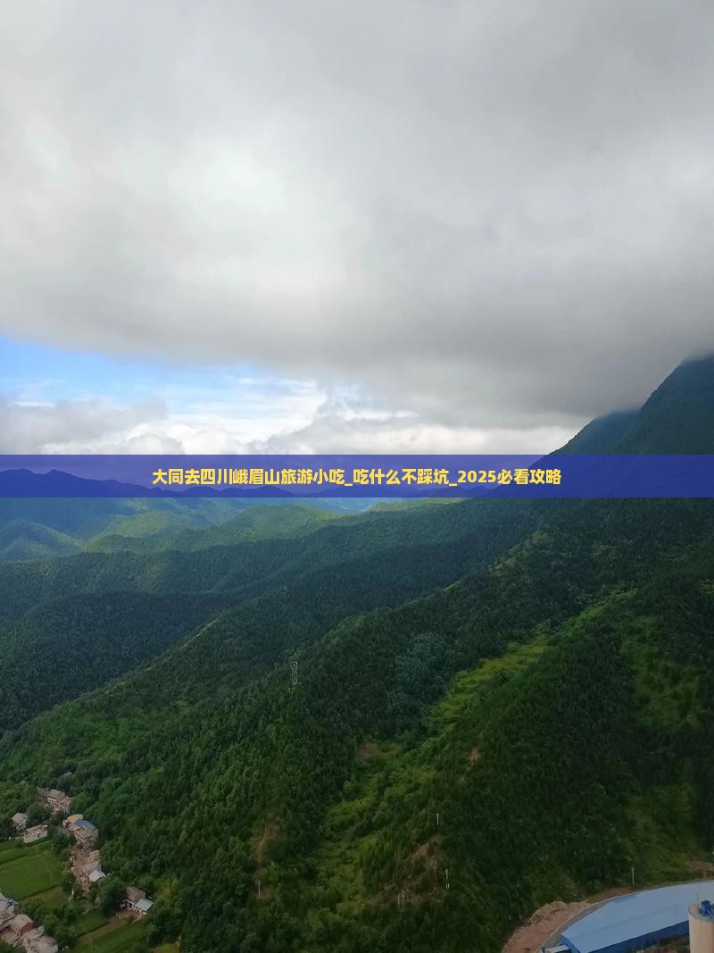 大同去四川峨眉山旅游小吃