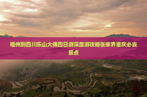 梧州到四川乐山大佛四日游