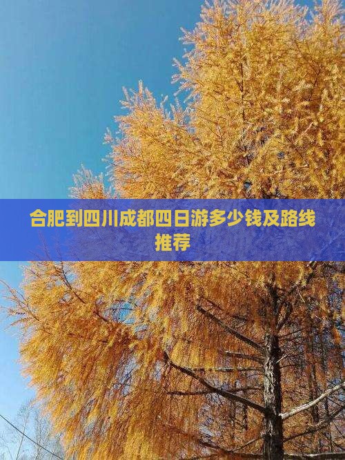 合肥到四川成都四日游多少钱及路线推荐